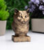 British Shorthair Büst Heykel – El Yapımı Dekoratif Figür