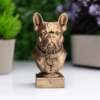 Fransız Bulldog Büst Heykel – El Yapımı Dekoratif Figür