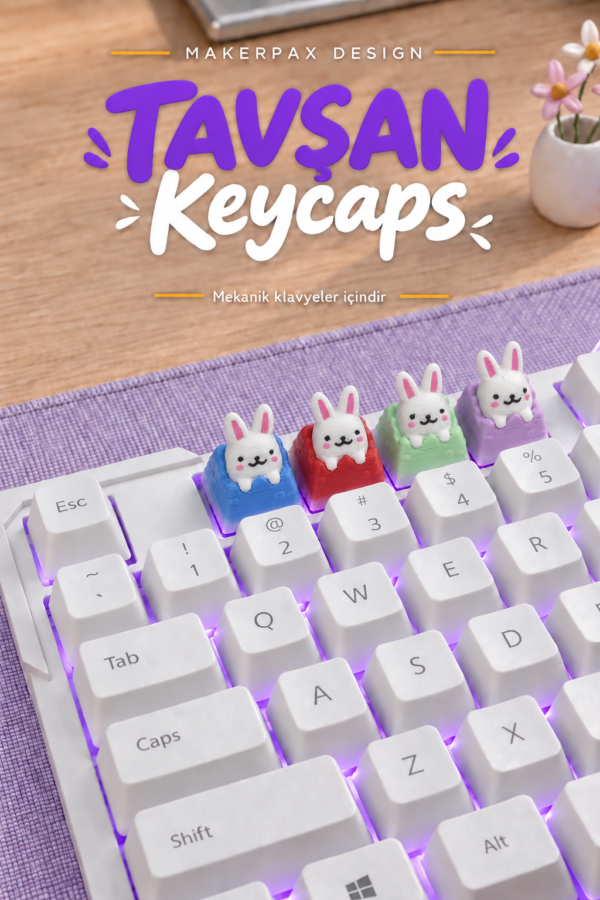 Tavsan Makerpax Özel keycaps, koleksiyonluk figürler ve oyuncu aksesuarları.